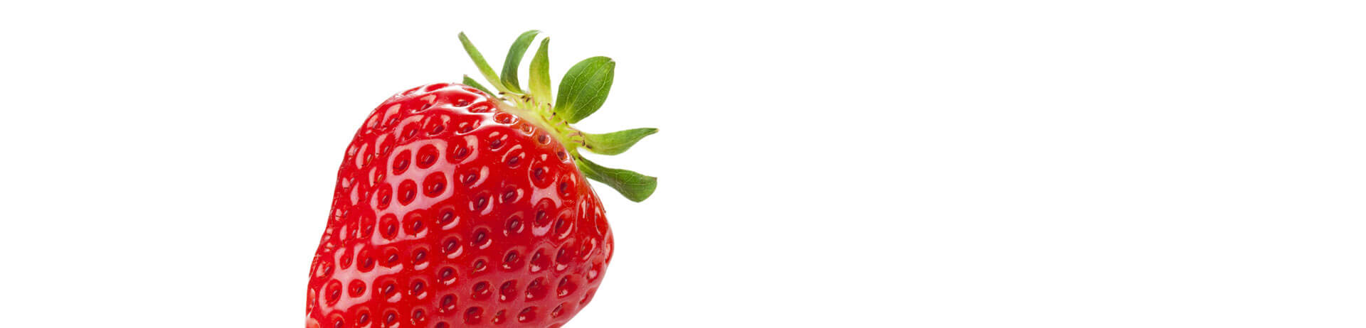 B2B E Business in Lebensmittel Branche