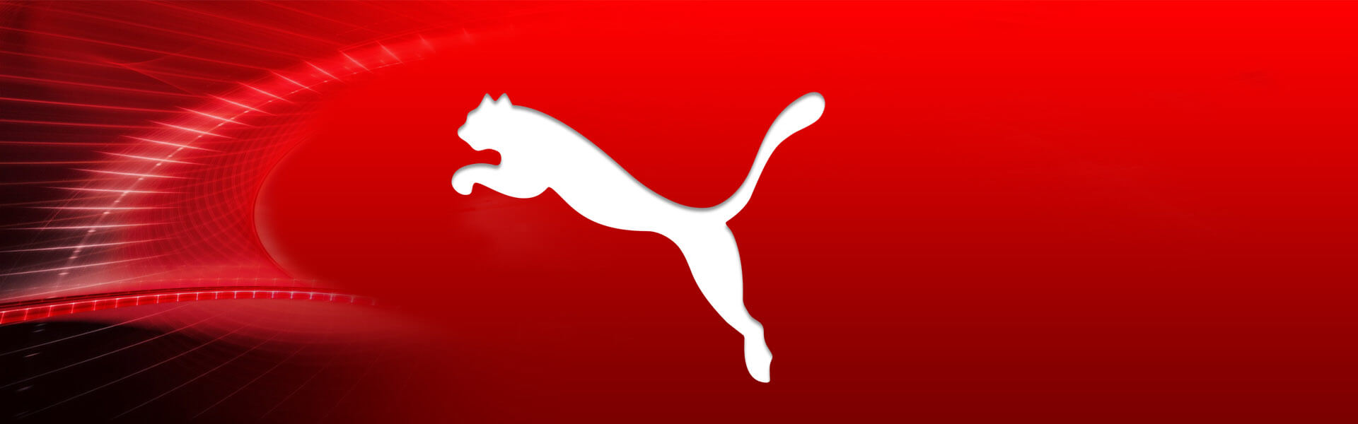 Case Study PUMA Database Publishing Headline