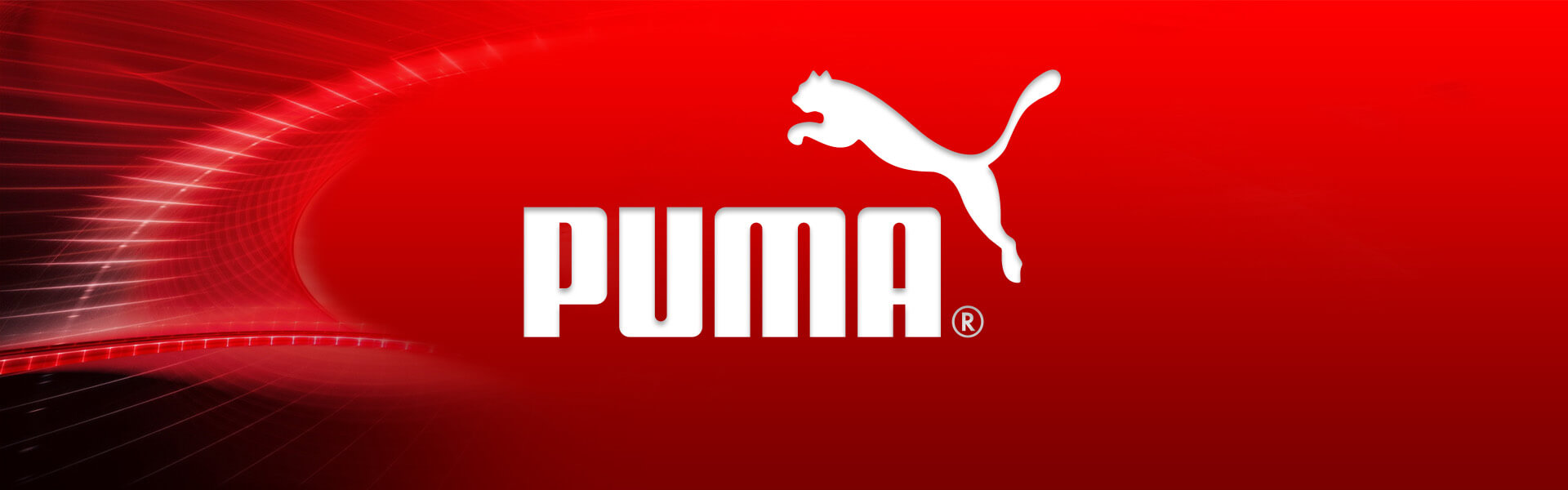 Case Study PUMA B2B E Business Headline