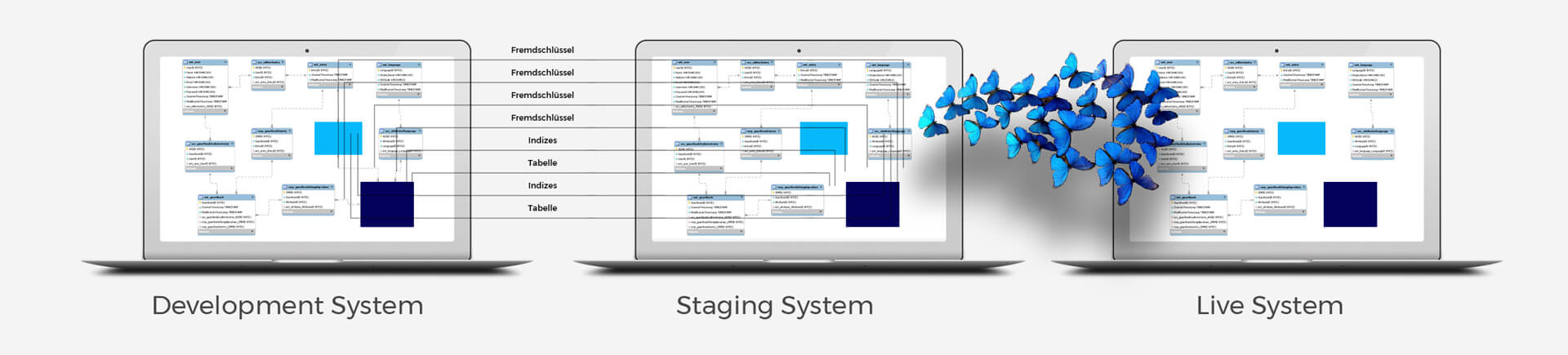 E Business B2B Datenbank Migration Step3 ICONPARC