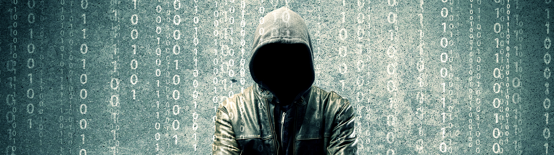 B2B E Business Modul Data Anonymizer