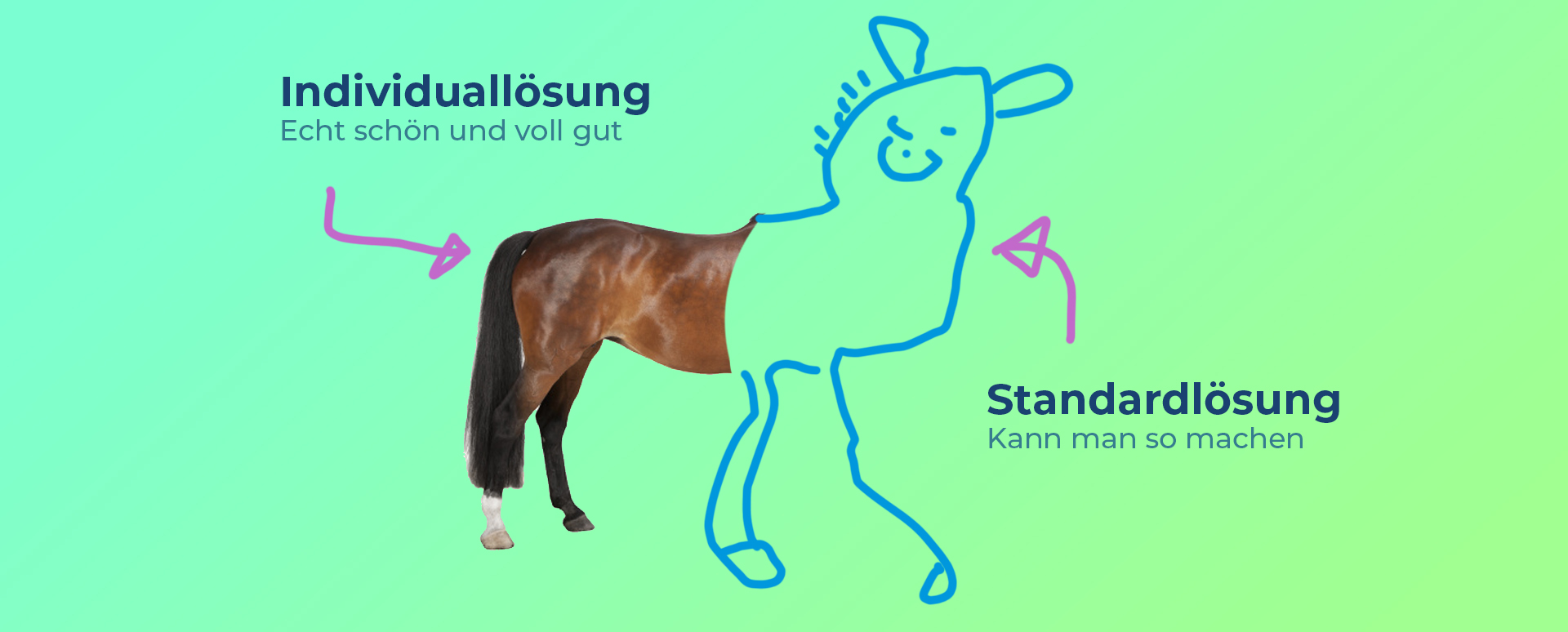 Individualsoftware vs Standardsoftware