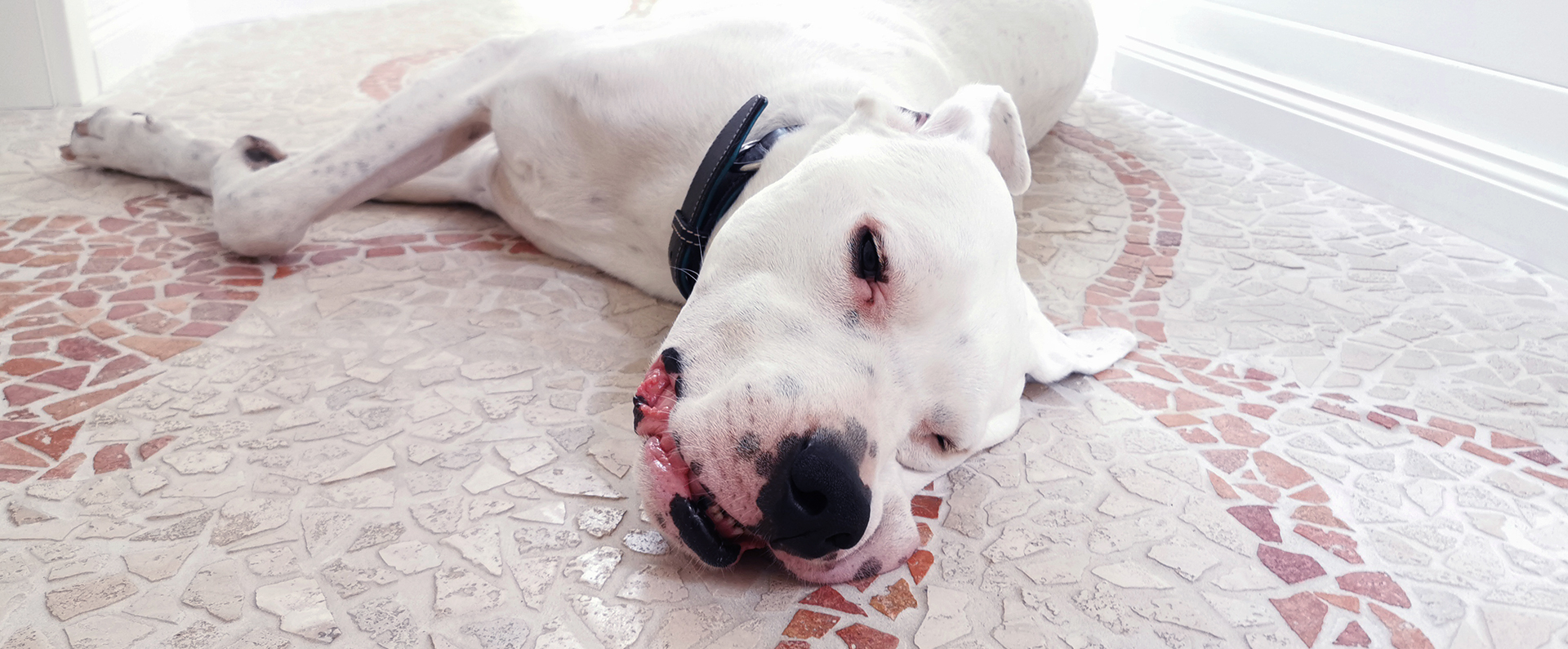 B2B E Business Team Monty ICONPARC